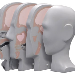 Cabeça de Dosimetria de Terapia de Protões