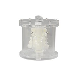 Fantoma da Tiroide UN