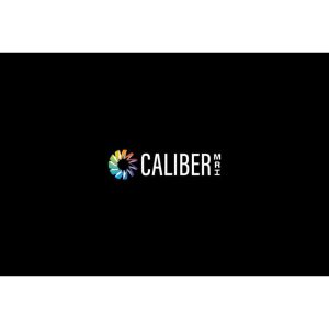 CaliberMRI Custom Phantoms