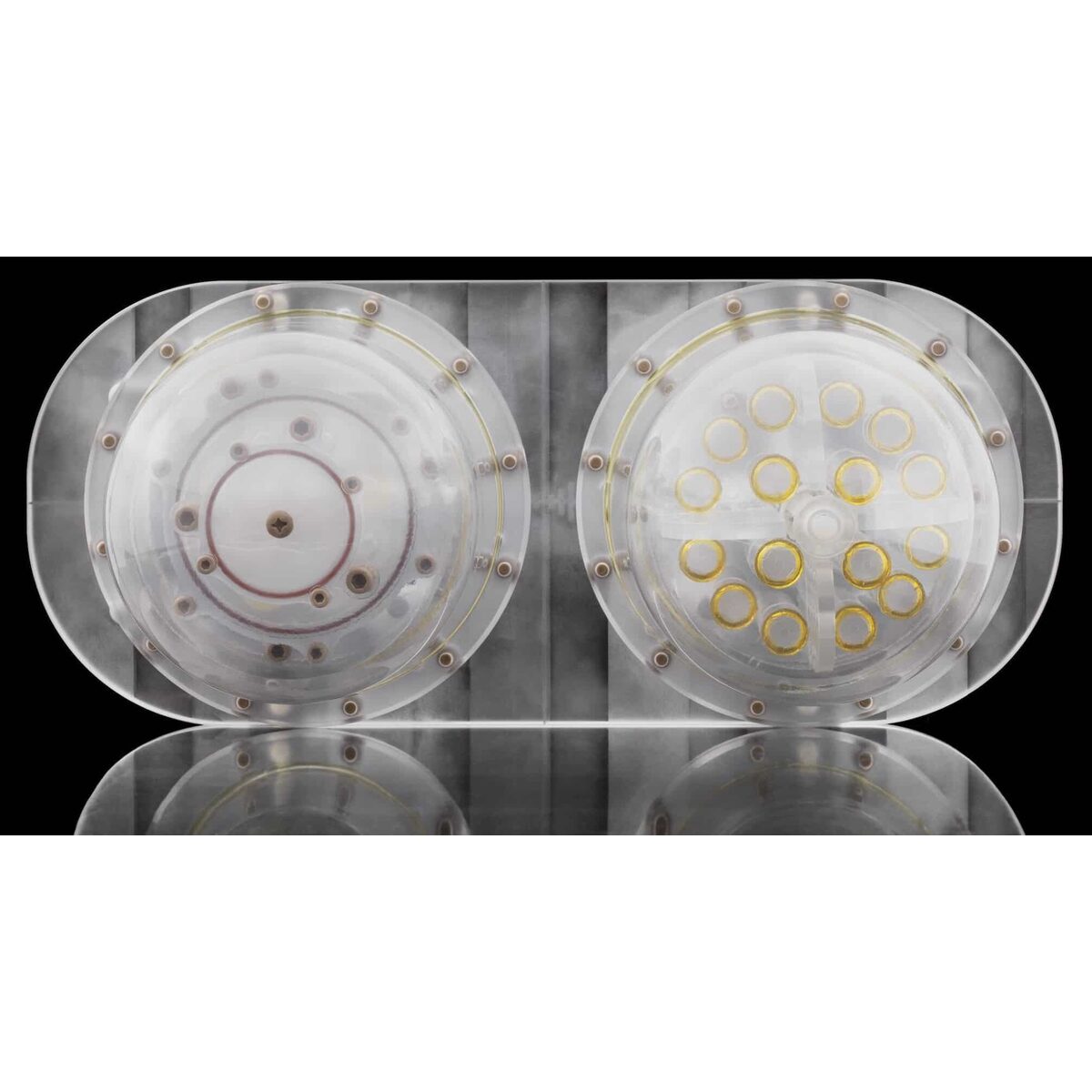 CaliberMRI Premium Double-Wall Breast Phantom