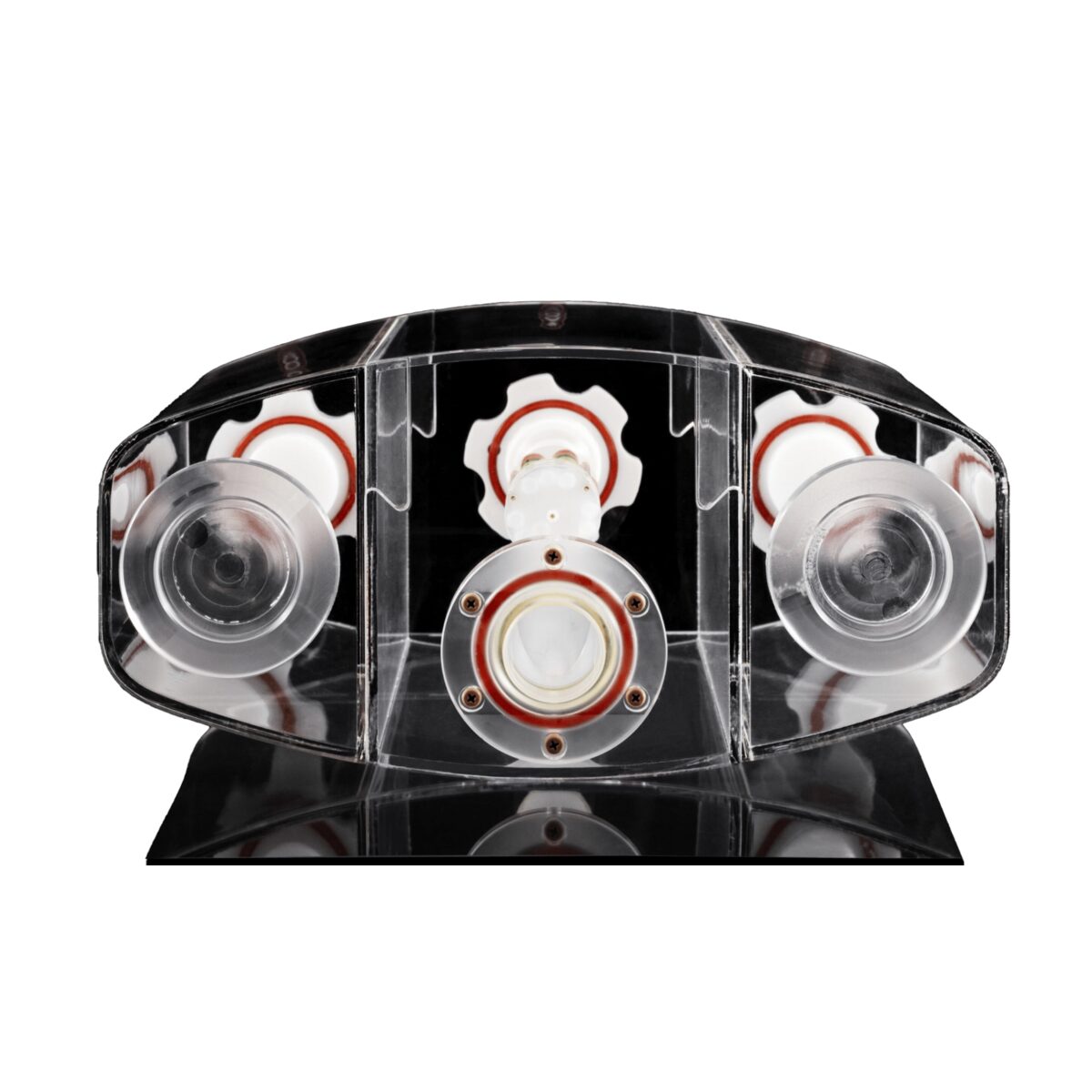 CaliberMRI Premium Prostate Phantom