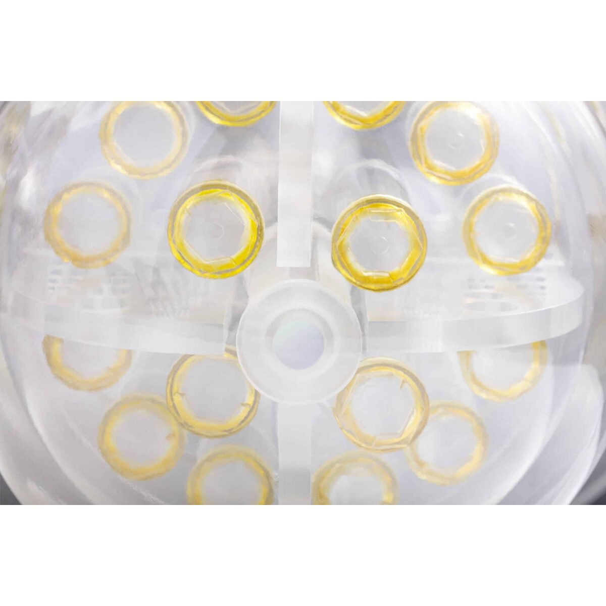 CaliberMRI Premium Single-Wall Breast Phantom